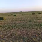 رشاش محوري 8 ابراج برسيم للايجار