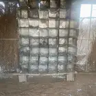 سطول بويه نظيف وتنك حديد