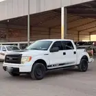 فورد غمارتين 2014 F150