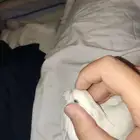 طائر أو عصفور كروان أو كوكتيل