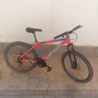 ضباء