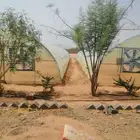 شركة قطاف للبيوت المحمية