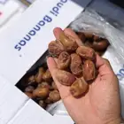 خلاص الغاط