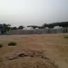 مشروع بلطي مؤجر ب 95 الف