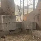 تم البيع