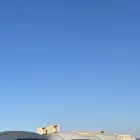 باصات 13 راكب الاجار مع السائق