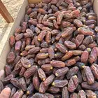 مبرم . صفاوى. عجوه المدينه