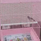انثي ياسمين قري