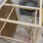 قفص كبير ونظيف للبيع مافي اي كسور