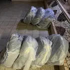 كفرات التيماء2017 مغسوله وجاهزه ب30ريال للحبه