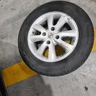 جنوط صني