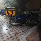 دباب مهدي 2024
