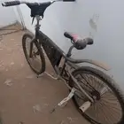 دجاجتين هوائية