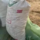 تمر. حلال