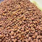 تمر اخلاص نثري