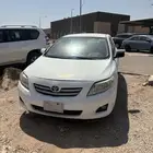 كولا 2010 ابيض
