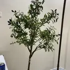 شجره زيتون صناعيه