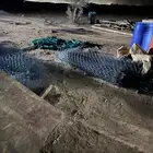 شبوك للبيع شقراء