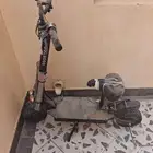 الياسمين