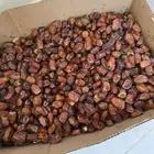 تمر غنم 15 كيلو تقريبا