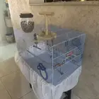 قفص