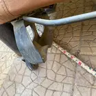 جنوط شروكي ومراتب رانجلر
