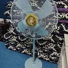 فرش