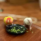 طيور ببغاء روز ضاعو مني