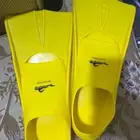 زعانف