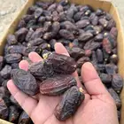 تمر حلوة العلا وبرني العيص