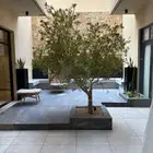للبيع فيلا بالعارض   موقع مميز