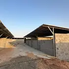 اسطبل للايجار - غرف خيل -القصيم - البدايع