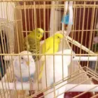 الرياض حي الشفاء