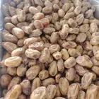 تمر خلاص فلة فاااخر حبة مليانةوطعم لذيذ