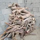 حطب مستور سمر درجه اولى حمله وانيت