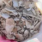 خبز حلال نظيف