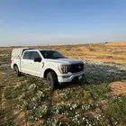 شد فورد من مديل 2015 حتى 2025