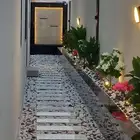 تنسيق حدائق جازان