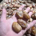 تمر خلاص الأحساء جامبو فاخر