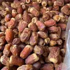 صقعي طيب وممتاز