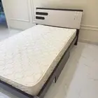 القطيف دانة الرامس