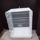 تاروت