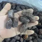 للبيع تمر خضري