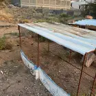 شبك دجاج وارانب