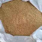 ذرة صفراء منقاة للبيع