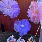 ثيمات وحفلات