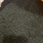 بذور بصل حضرمي يمني أحمر