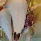 ديك رومي ذبح طازج