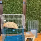 بيع اقفاص للقطط