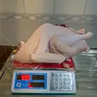 ذبح عند الطلب